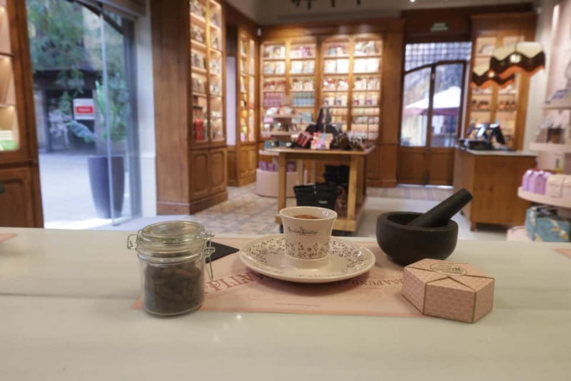 Barcelona & Chocolate Amatller History and Culture + Activity and Tasting - Key points / Takeaways