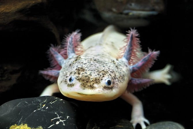 Barcelona City Tour Hop-On Hop-Off and Aquarium - Who Is This Tour Best For?