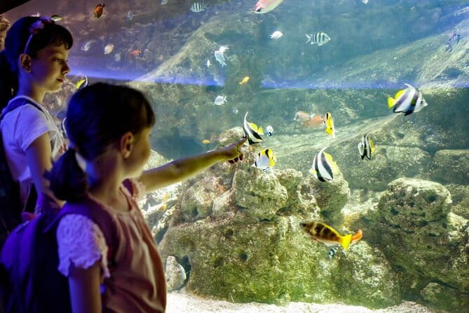 Barcelona City Tour Hop-On Hop-Off and Aquarium - FAQ