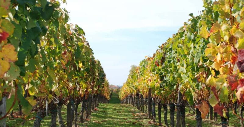 Barcelona: Coastline E-Bike and Wine Tasting Tour - The Cost and What You’re Getting