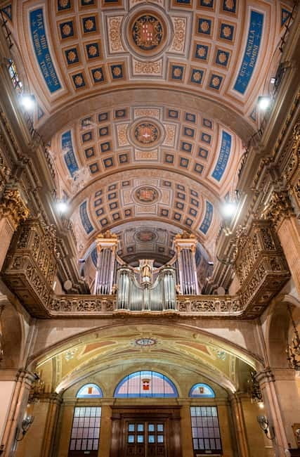 Barcelona Concert: A. Vivaldi - The Four Seasons and more - The Performers and Their Impact