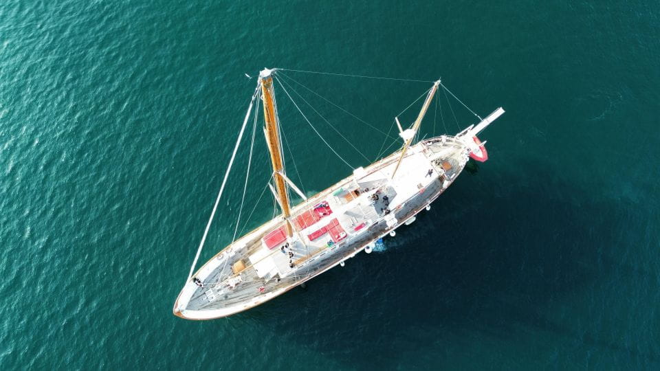 Barcelona: Day or Sunset Sailing Trip With Drink Included - Language Availability