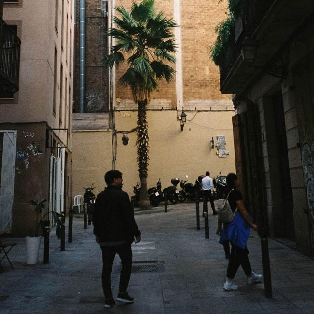 Barcelona EcoViva Tour - Lunch Included - Key Points