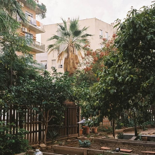 Barcelona EcoViva Tour - Lunch Included - Highlights of the Experience