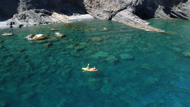 Barcelona Escape: Kayak & Snorkel in Costa Brava - Exploring Marine Life with Snorkeling