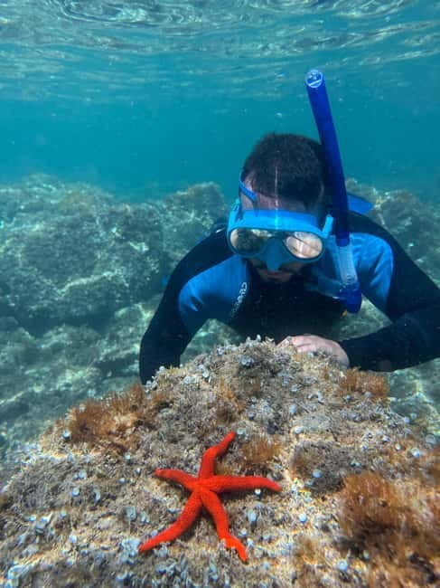 Barcelona Escape: Kayak & Snorkel in Costa Brava - Final Thoughts