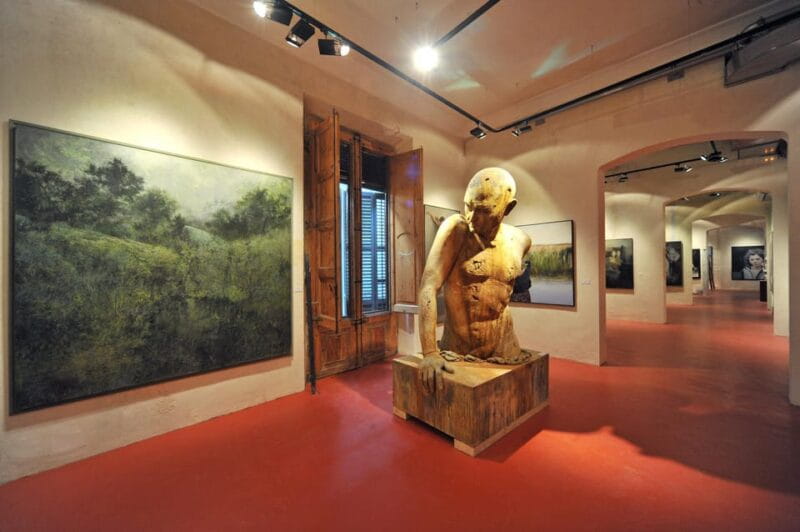 Barcelona: European Museum of Modern Art Entry Ticket - What You Can Expect During Your Visit