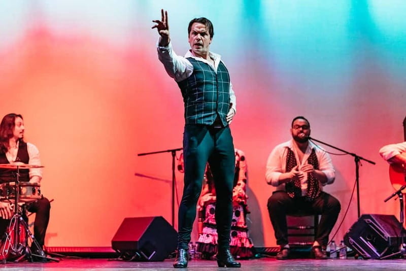 Barcelona: Flamenco Show at the Theater - Key points / Takeaways