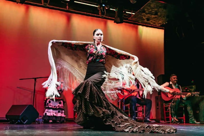 Barcelona: Flamenco Show at the Theater - Final Thoughts: Who Is This Flamenco Show Best For?