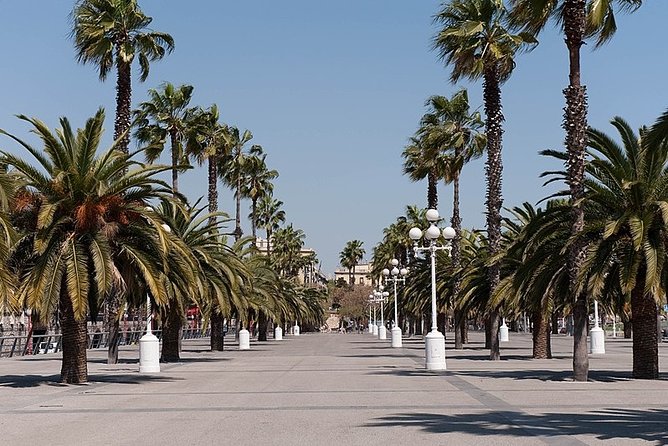 Barcelona Half-Day Sightseeing Private Tour - Customizable Itinerary