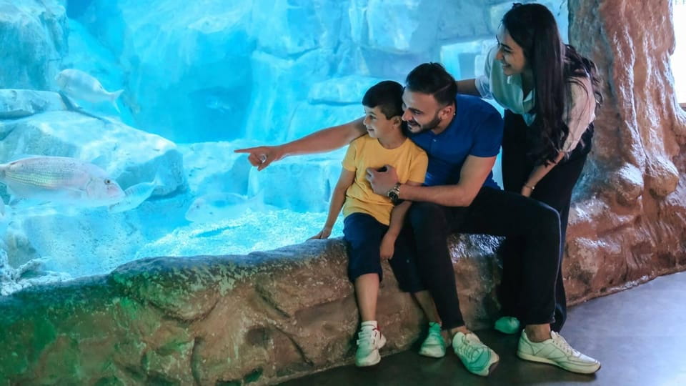 Barcelona: Hop-On Hop-Off Bus & Aquarium Tour - Experience Highlights