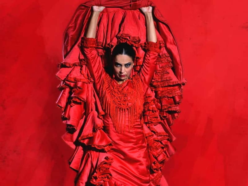 Barcelona: "Inspiration" Live Flamenco Show - Discover Flamenco in Barcelona: An Authentic Experience at "Inspiration" Show