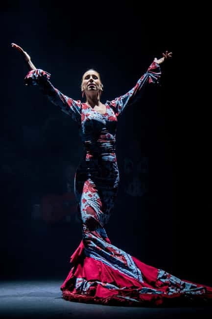 Barcelona: "Inspiration" Live Flamenco Show - Final Thoughts
