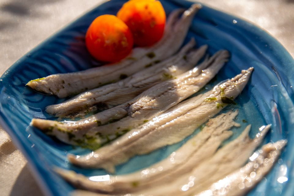 Barcelona: Local Tapas and Drinks Sailing Adventure Tour - Things To Know