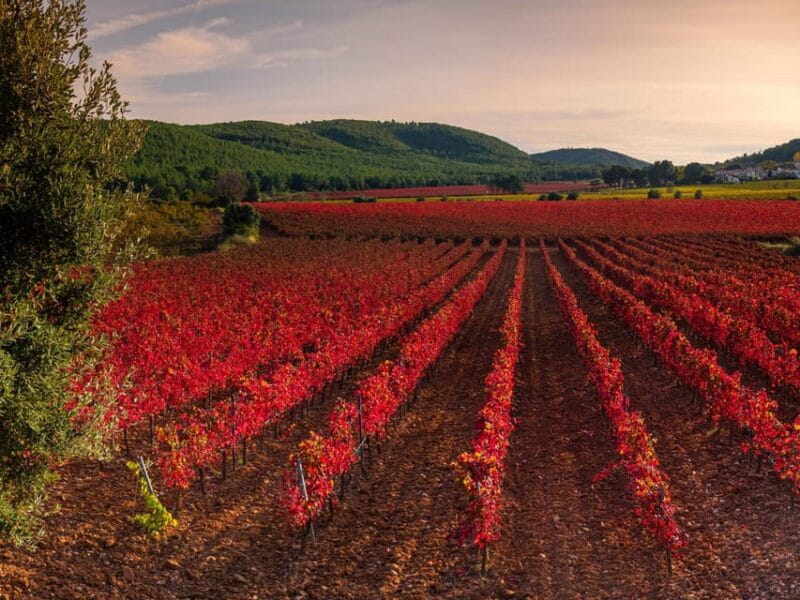 Barcelona: Luxury Tour, 4X4 Off-Road, Lunch & Wines at Penedes - Exploring the Penedès Landscape and Beyond: A Detailed Review