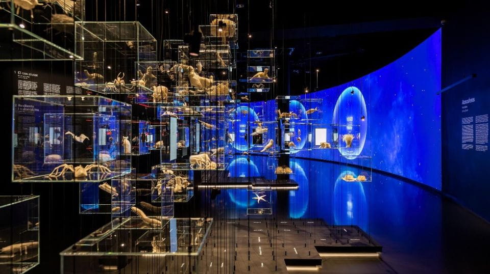 Barcelona: Mirador Torre Glòries Skip-The-Line Ticket - Accessibility Information