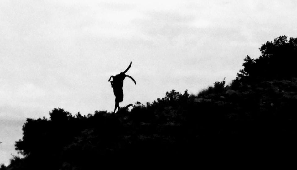 Barcelona: Montserrat Monastery and Natural Park Guided Tour - Customer Reviews