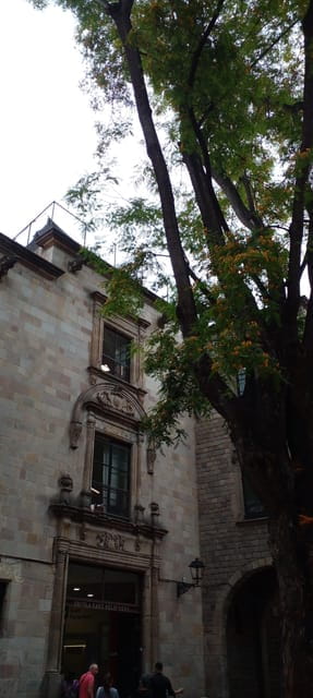 Barcelona: Mystical Walking Tour in the Gothic Quarter - Experience and Insights