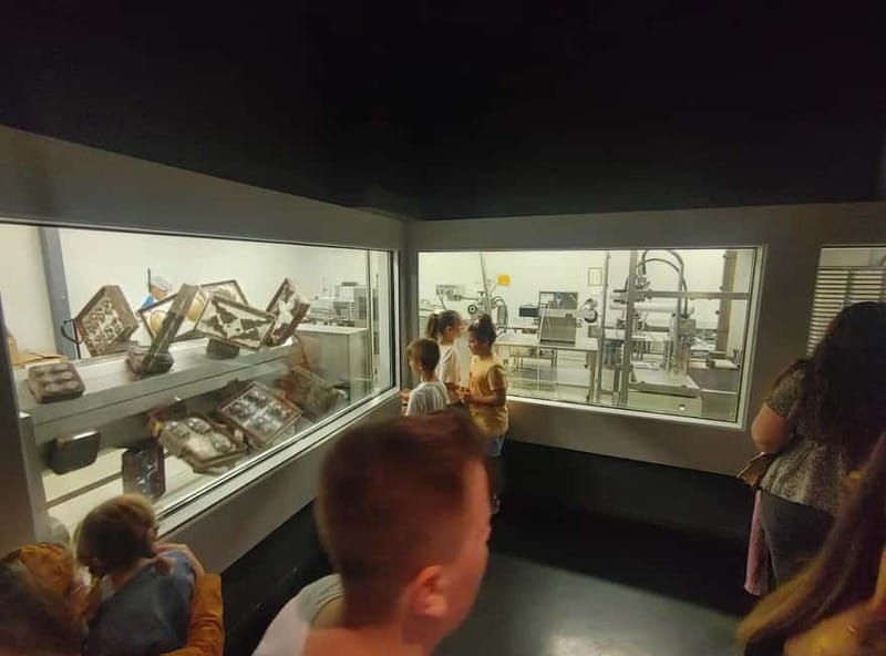 Barcelona-Penedès: Chocolate Experience at Espai Xocolata Simón Coll - The Nuts and Bolts: A Deep Dive Into the Chocolate Experience