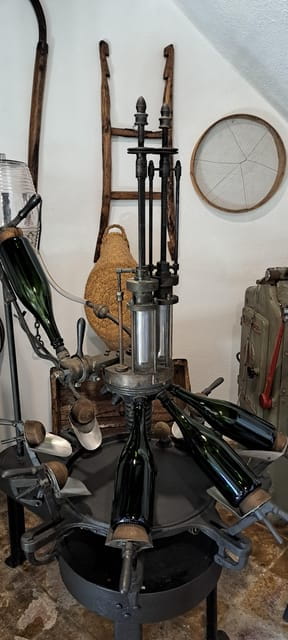 Barcelona: Penedès Vineyard Horseback Ride with Wine Tasting - Key Points / Takeaways