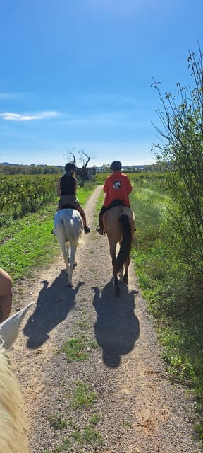 Barcelona: Penedès Vineyard Horseback Ride with Wine Tasting - Visiting the Winery: A Deep Dive into Catalan Winemaking
