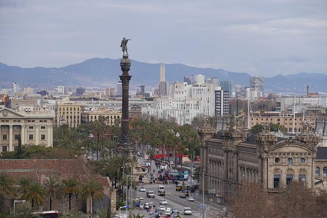 Barcelona Private 4 Hour Tour With Driver and Official Tour Guide - Professional Guide