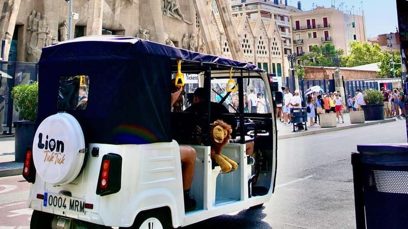 Barcelona: Private Hop-On Hop-Off Lion Tuk Tuk Tour - Exploring the Reality of the Lion Tuk Tuk Tour in Barcelona