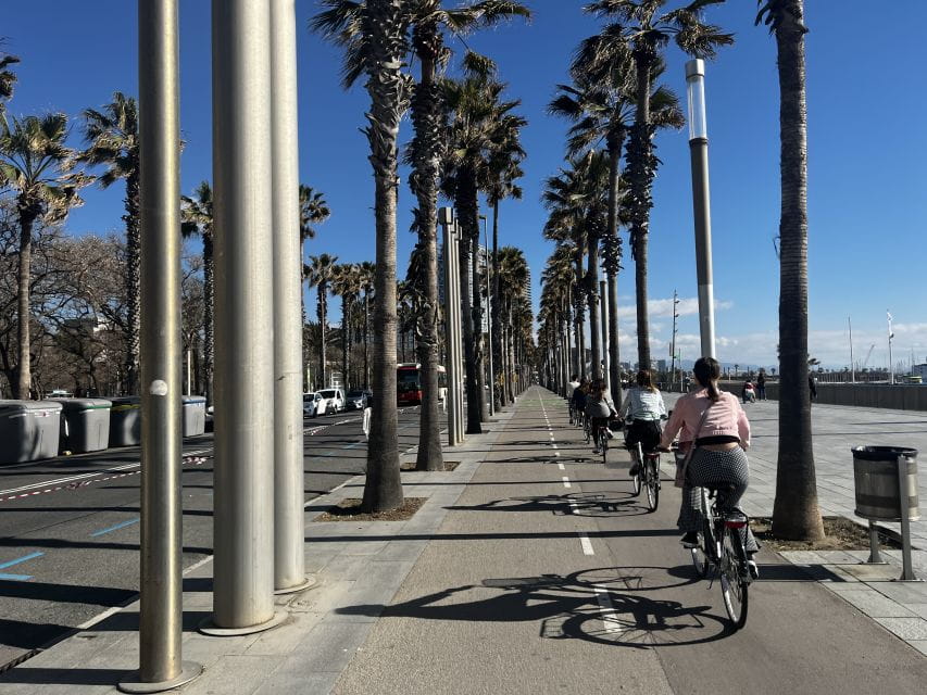 Barcelona: Sagrada Familia Private E-bike or E-Scooter Tour - Customer Feedback