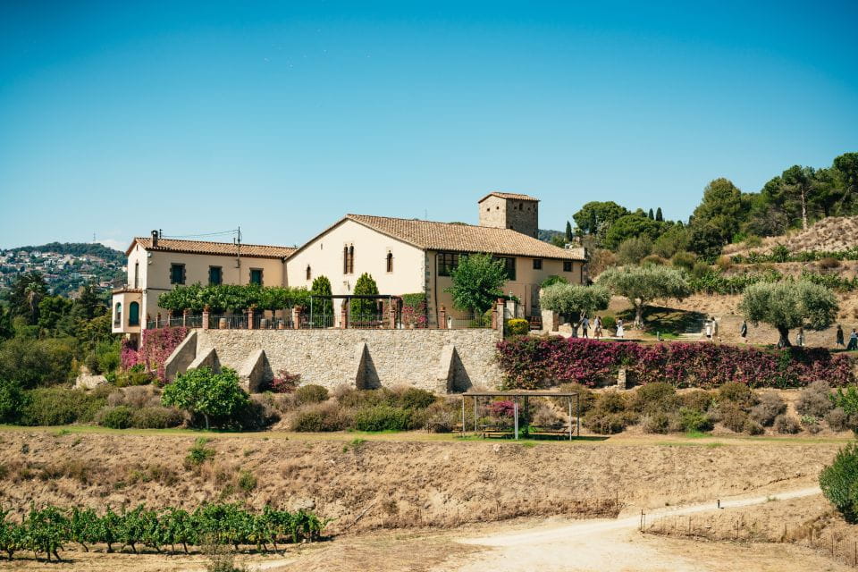 Barcelona: Sailing Cruise & Vineyard Tour With Wine Tasting - Things To Know