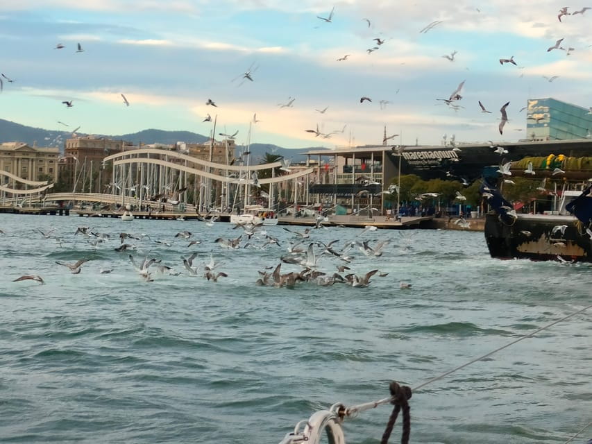 Barcelona: Sunset Cruise With Snacks and Drinks - Experience Details