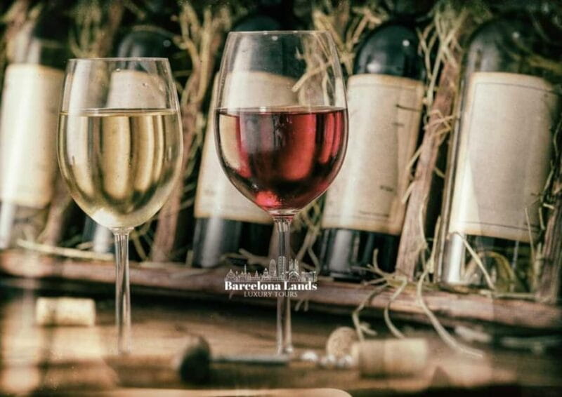 Barcelona: Tour Luxury for Priorat, Wine tasting & Lunch - Breathtaking Vistas at Finca Palacios