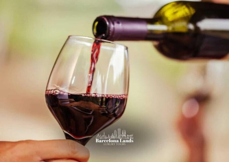 Barcelona: Tour Luxury for Priorat, Wine tasting & Lunch - Price and Logistics: Is It Worth It?
