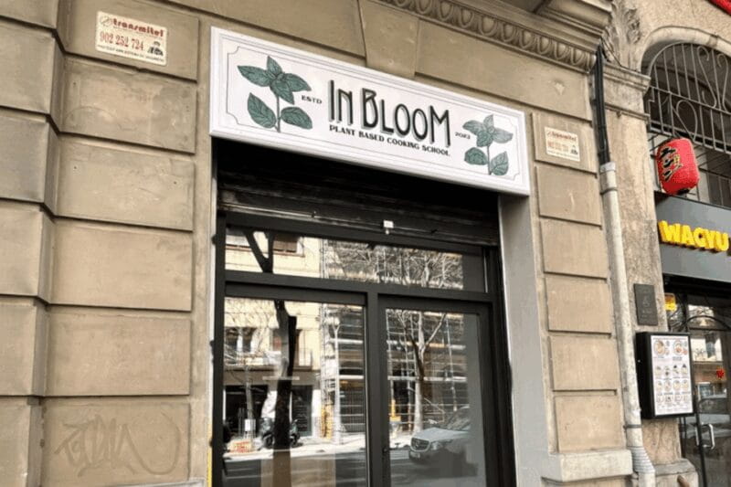 Barcelona: Vegan Paella and traditional rice dishes - The Itinerary: From Prep to Plate