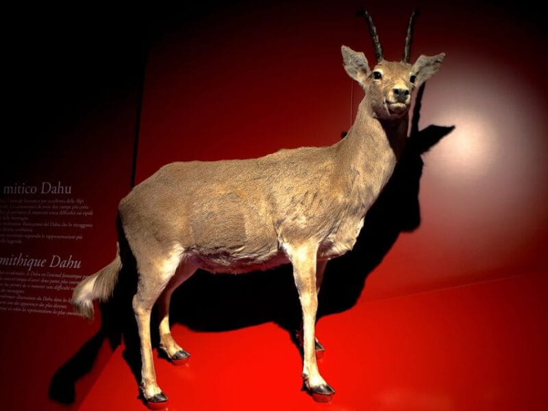 Bard: Fortress Exhibitions and Museums Entrance - The Sum Up: Who Will Love This