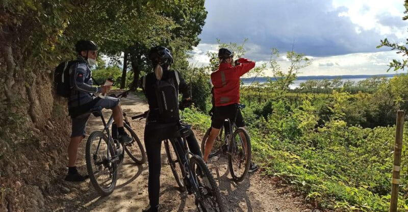 Bardolino: e-bike tour and wine tasting on the hills - Key Points / Takeaways