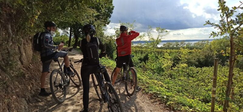 Bardolino: e-bike tour and wine tasting on the hills - Who Will Love This Tour?