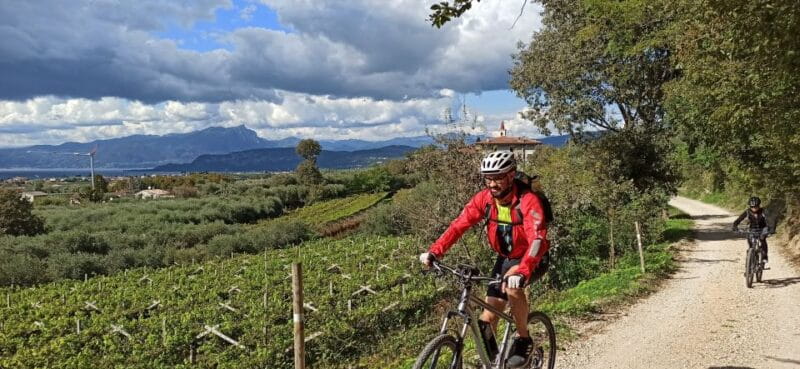 Bardolino: e-bike tour and wine tasting on the hills - Who Should Consider This Experience?