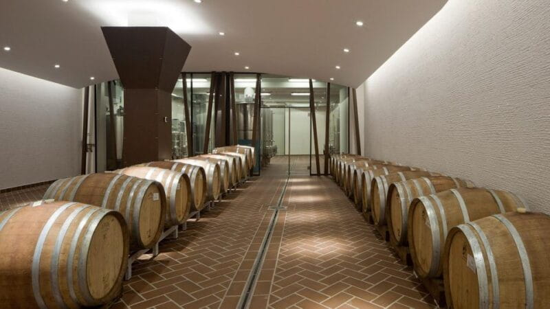 Bardolino: tasting of 6 red Valpolicella and Garda wines - Exploring the Heart of Bardolino’s Wine Heritage