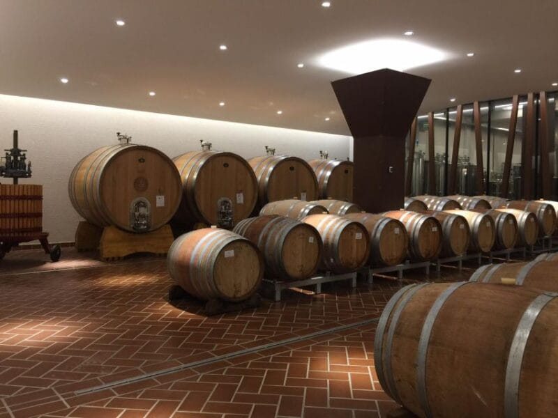 Bardolino: tasting of 6 red Valpolicella and Garda wines - The Terrace: A Toast with a View