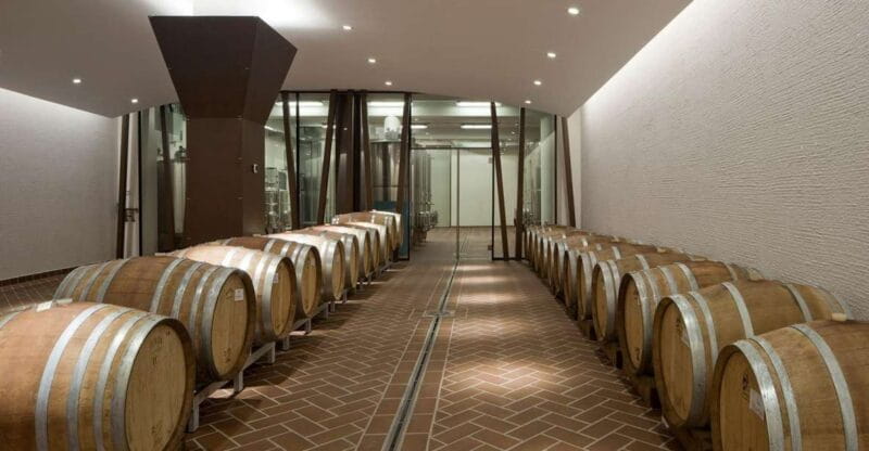 Bardolino: tasting of 6 red Valpolicella and Garda wines - Food Pairings: Local Delicacies