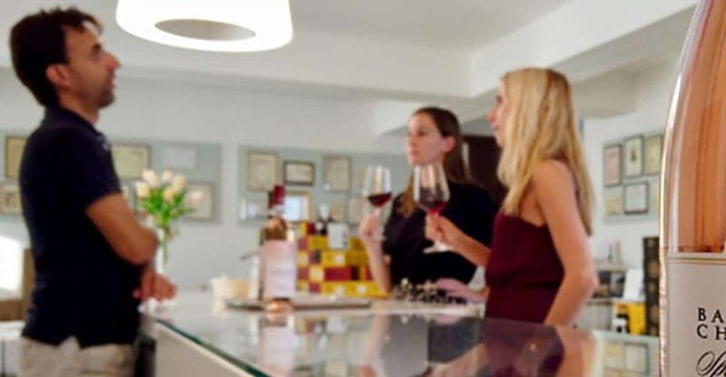 Bardolino: tasting of 6 White and Rosè wines with Lake view - Key points / Takeaways