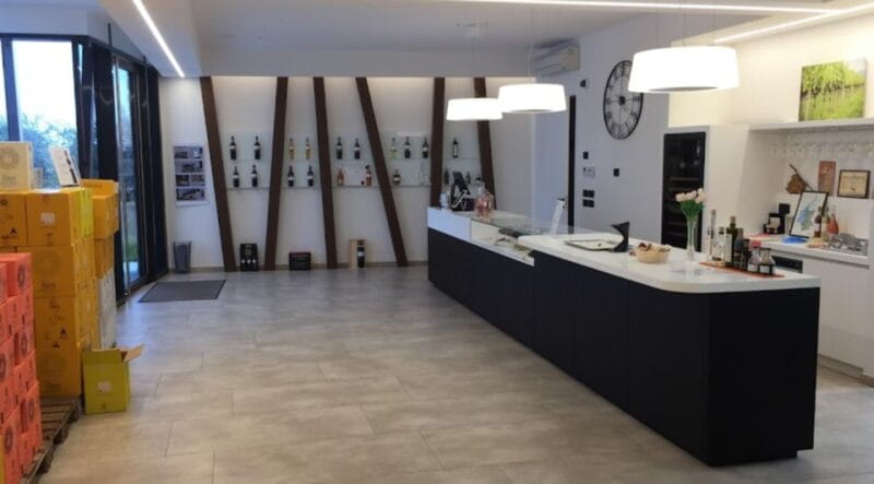 Bardolino: tasting of 6 White and Rosè wines with Lake view - Pairing Wines with Local Cold Cuts and Cheeses