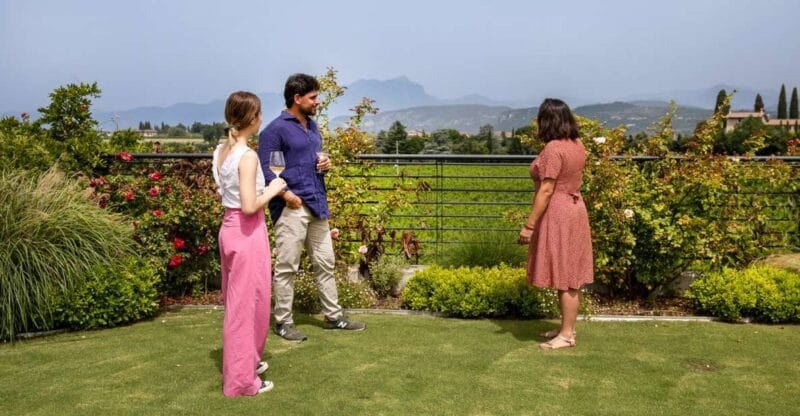 Bardolino: Vineyard Tour with Wine and Food Tasting - Key points / Takeaways