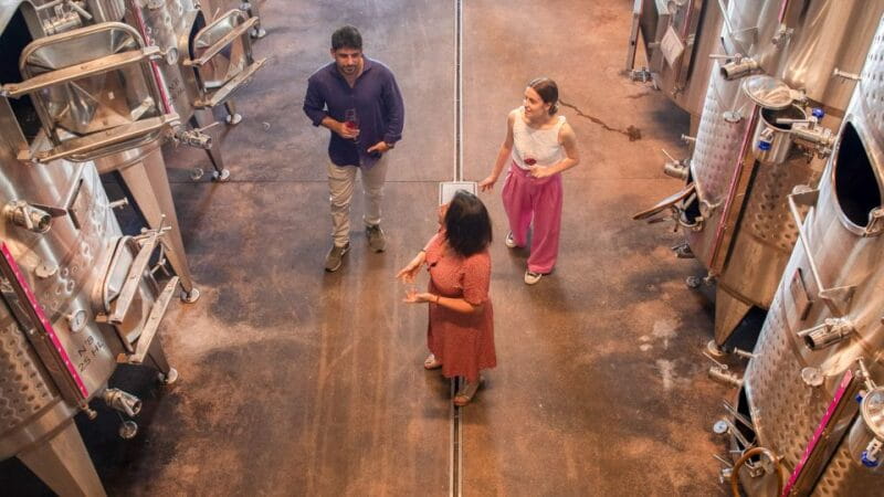 Bardolino: Vineyard Tour with Wine and Food Tasting - The Tasting: Four Wines and Local Flavors