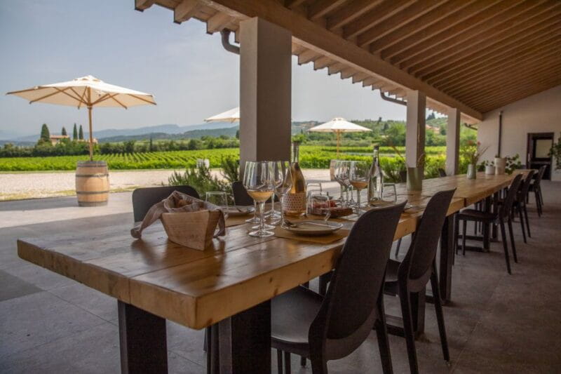 Bardolino: Vineyard Tour with Wine and Food Tasting - Deep Dive into the Experience: What You Can Expect