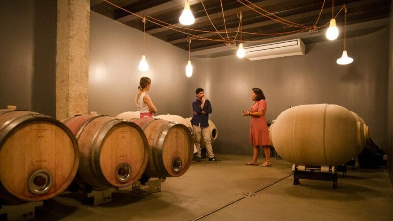 Bardolino: Vineyard Tour with Wine and Food Tasting - Final Verdict