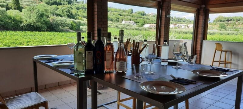 Bardolino: Vineyard Tour with Wine, Olive Oil & Food Tasting - Entering the World of Bardolino Wines