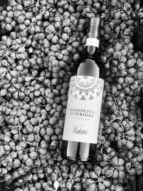 Bardolino: Wine tasting at Cantina Valetti - Key points / Takeaways