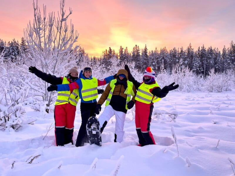 Bardufoss: Wild Moose Safari with Lunch - Forest Walks and Moose Tracks