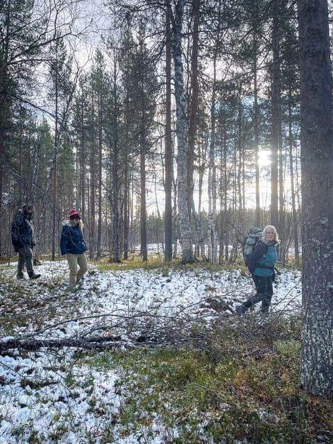 Bardufoss: Wild Moose Safari with Lunch - Wildlife & The Unpredictability of Sightings